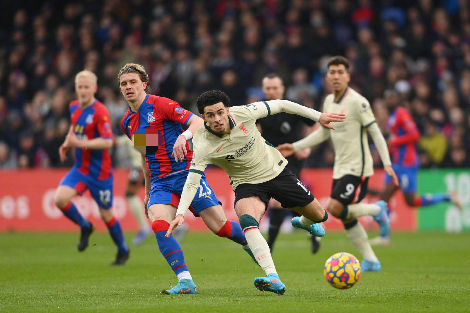 再次展現了 再次展現了